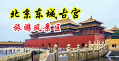 大鸡巴大战美女中国北京-东城古宫旅游风景区